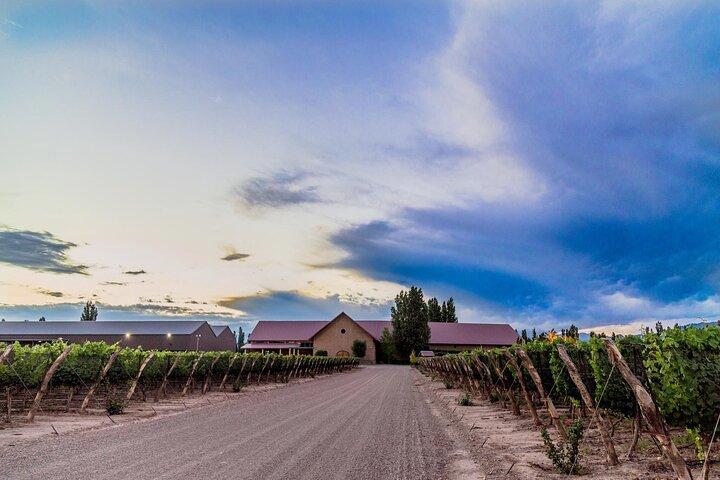 Visit Pulenta Estate Winery and Gourmet Lunch at Susana Balbo