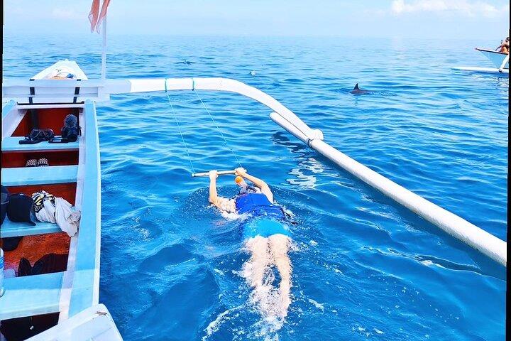 Bali Swim with Dolphins & Watching Sunrise, Gitgit Waterfall