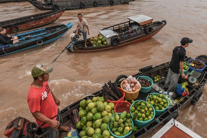 Best Choice Mekong Delta Small Group Tour by Limousine