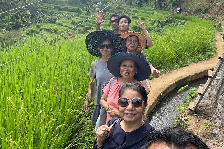 Ubud Waterfall Swing And Spring Temple Private Guided Tour