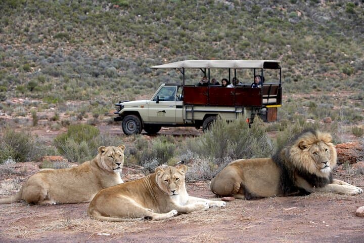 Big 5 Safari One Day Tour