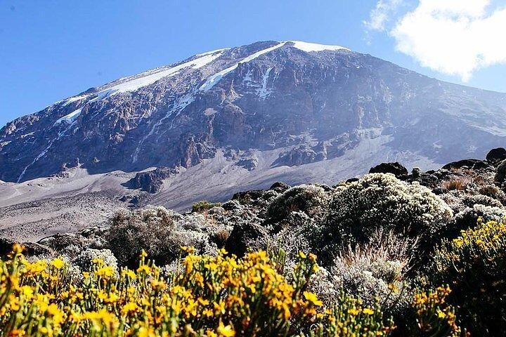 5 Days Kilimanjaro Trekking in Marangu Route
