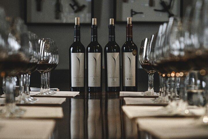 Visit Pulenta Estate Winery and Gourmet Lunch at Susana Balbo