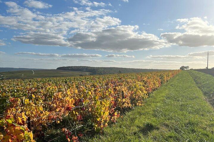 Sancerre Private Wine Day from Paris with 10 Tastings & Lunch