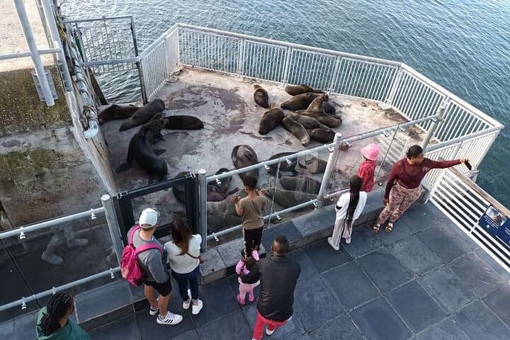 Robben Island and Table Mountain Experience