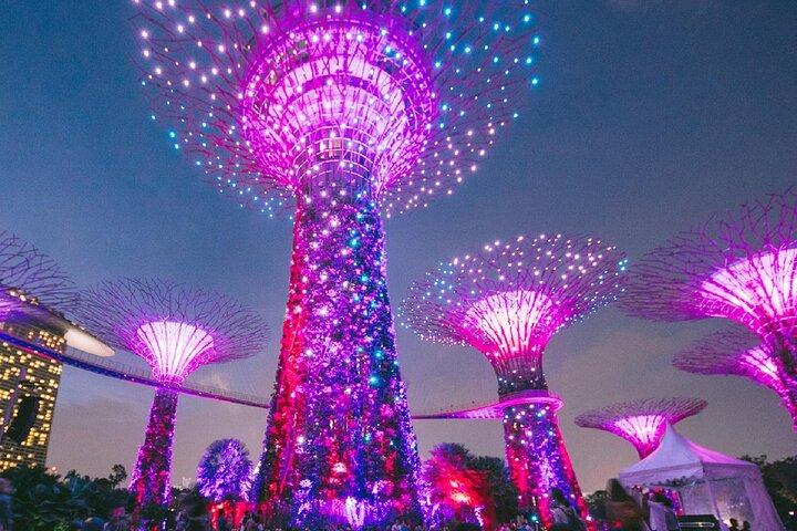 Private Starry Night Singapore Tour and Roundtrip Transfers