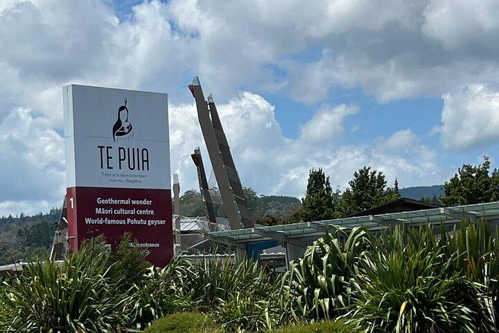 Wai-O-Tapu and Te Puia Day Trip Transport from Auckland