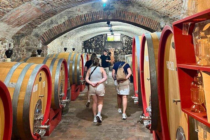 Pisa, Vinci, Tuscany, Wine tasting all in one day! - Small Group