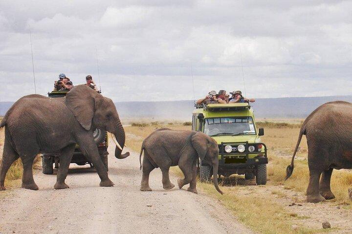 3 Days Amboseli National Park and Tsavo West Adventure Safari