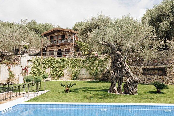 Private Olive Oil and Wine Tasting in Kurilo, Montenegro