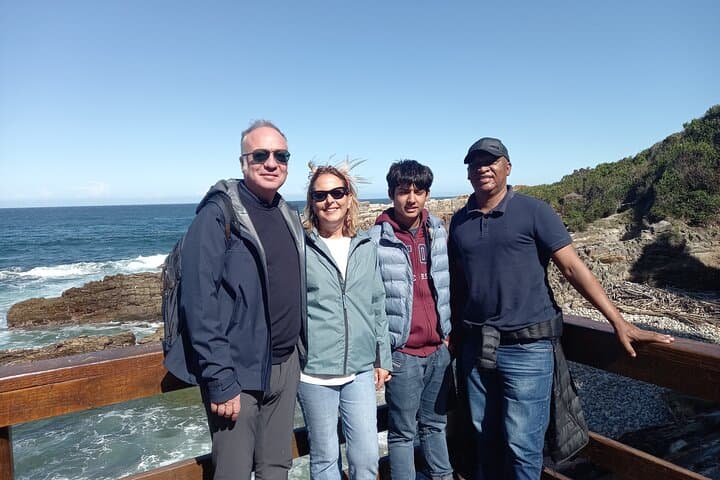 Cape Peninsula Table Mountain Penguin Colony Boulders