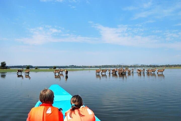 Lake Naivasha Boat ride and Crescent island walk from Nairobi
