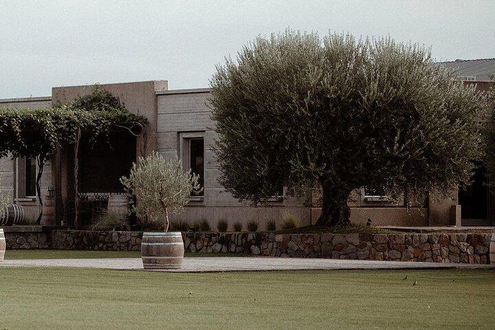 Visit Pulenta Estate Winery and Gourmet Lunch at Susana Balbo