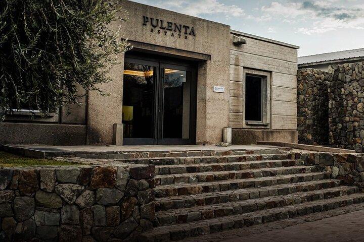 Visit Pulenta Estate Winery and Gourmet Lunch at Susana Balbo