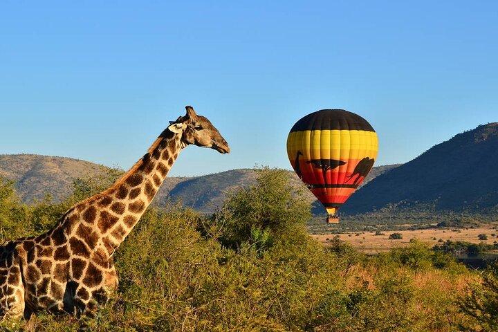 4-Days Masai Mara Safari Combined with Hot Air Balloon Ride