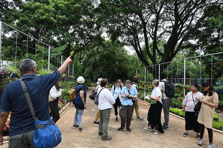 Lalbagh Botanical Garden Early Morning Walk + Breakfast at MTR