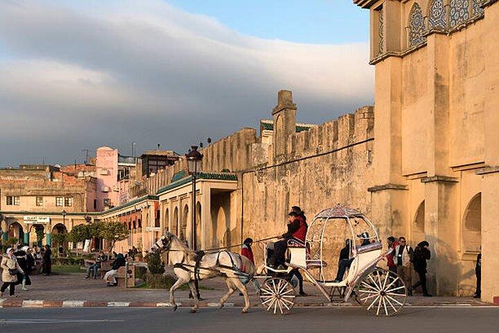 Day trip from Fes to Volubilis Moulay Idriss & Meknes