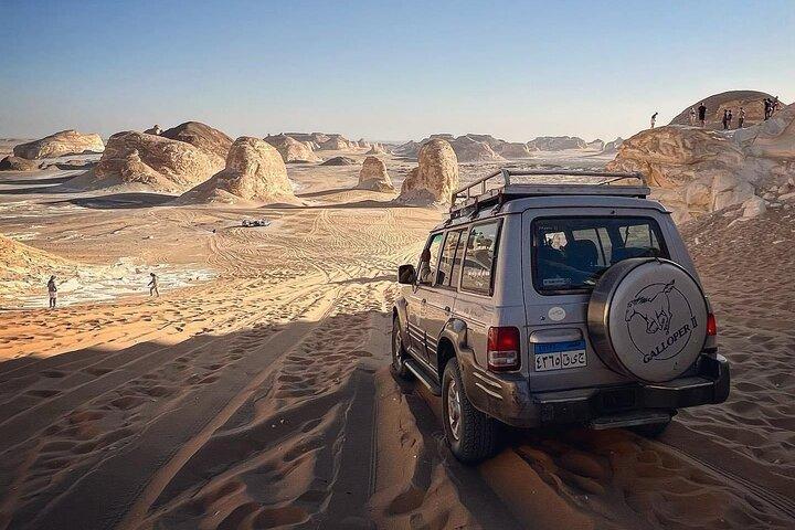 2 Days 1 Night to White and Black Desert from Cairo or Giza
