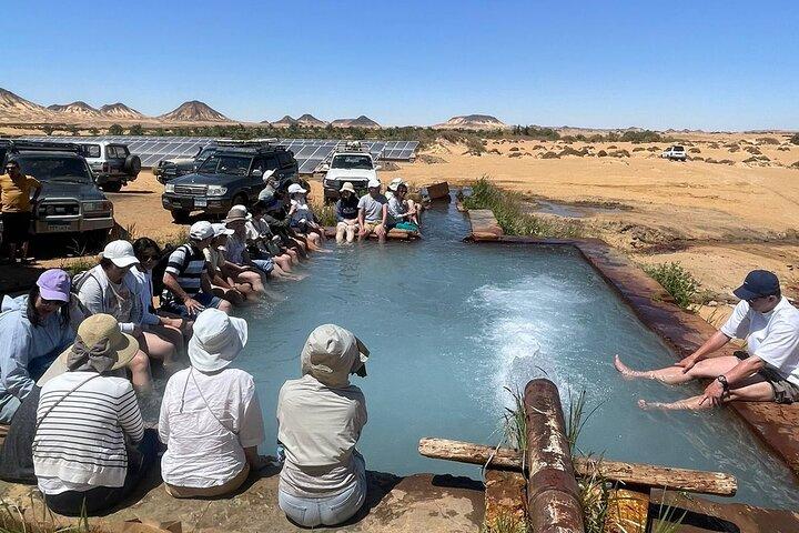2 Days 1 Night to White and Black Desert from Cairo or Giza
