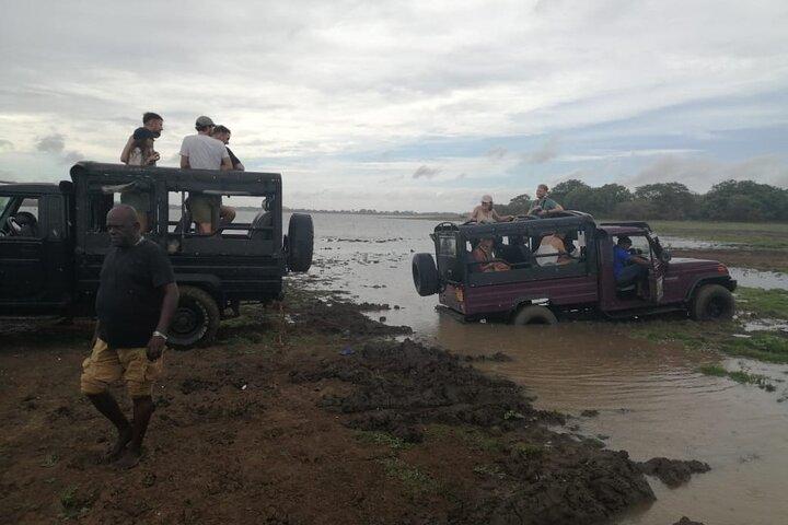 Minneriya National Park Safari - Private Jeep with Hotel Pickup