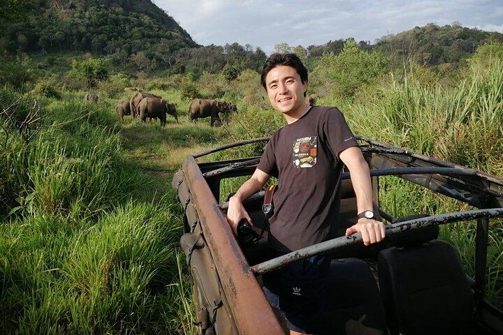Minneriya National Park Safari - Private Jeep with Hotel Pickup