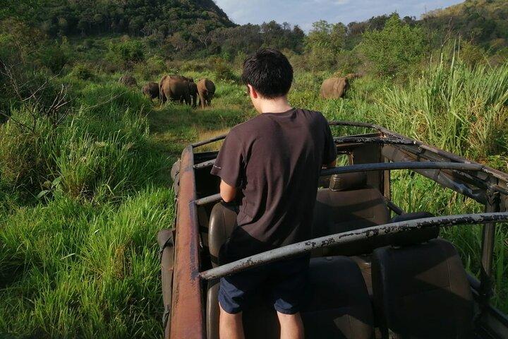 Minneriya National Park Safari - Private Jeep with Hotel Pickup