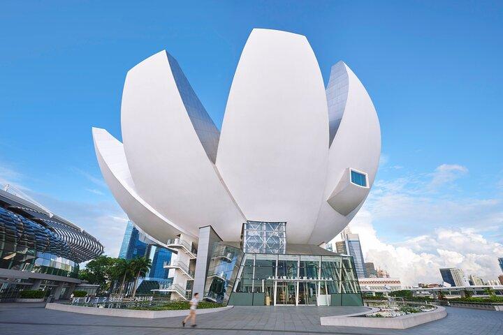 Singapore ArtScience Museum Admission E-Ticket