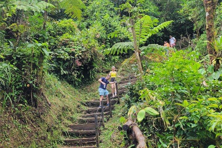"Rio Celeste Waterfall, Cacao & Cofee tour and Sloth Adventure
