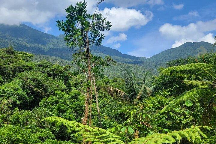 "Rio Celeste Waterfall, Cacao & Cofee tour and Sloth Adventure