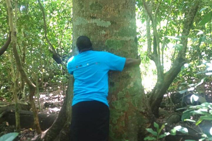 Private Historical Kaya Kinondo Sacred Forest Tour with Guide