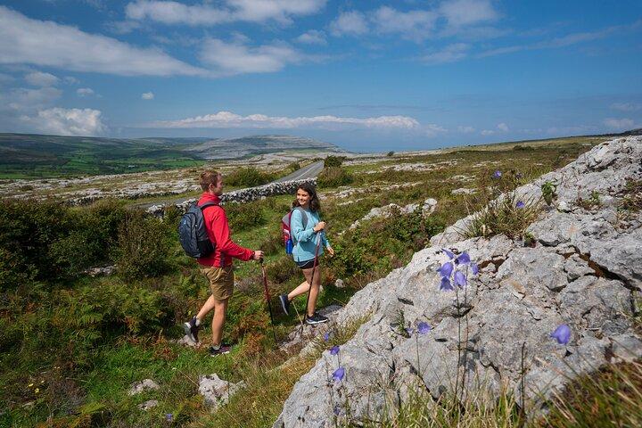 Walking in the Burren with perfumery visit. Clare. Guided 3 hours