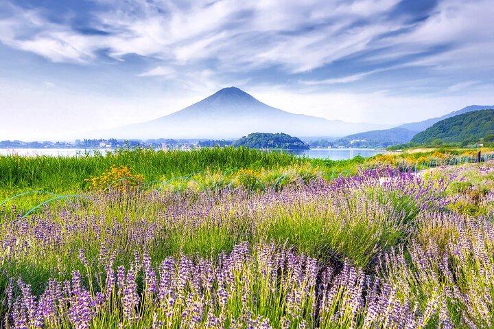 10 Day Japan Private Tour Unveiling Maximum Attractions