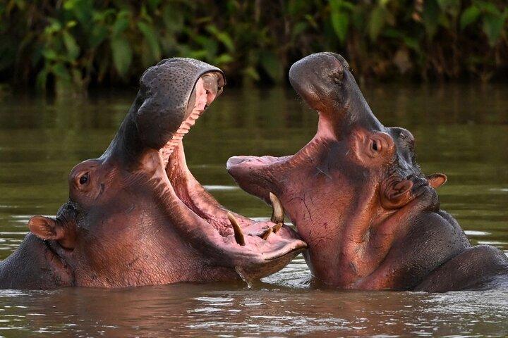 Day Tour to Hell’s Gate National Park And Lake Naivasha