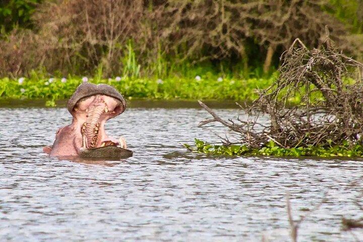 Day Tour to Hell’s Gate National Park And Lake Naivasha