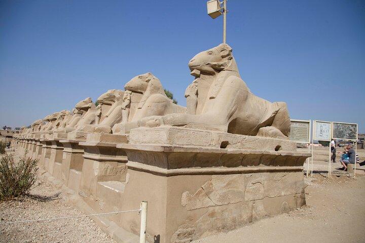 Half Day Tour in Luxor East Bank