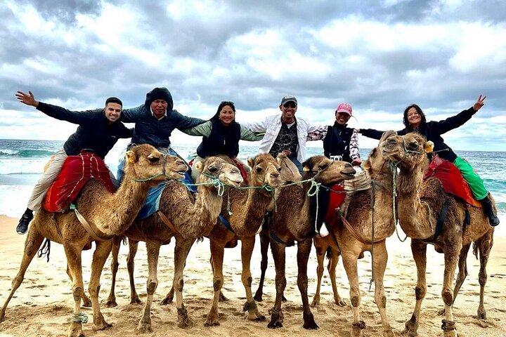Luxury Private Tour with Pick Up from Cruise Ship All Inclusive