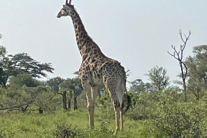 5 Day Kingdom of eSwatini, Kruger National Park & Panorama Route
