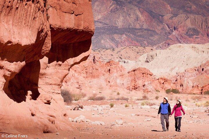 Cafayate, Vineyards and Calchaquies Valleys Tour from Salta