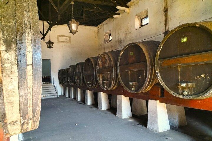 Óbidos, Nazaré and Wineries, Day Private Tour by SUV from Lisbon