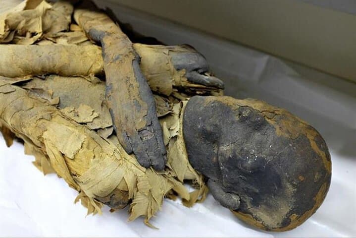 Private Tour to Luxor Museum and Mummification Museum