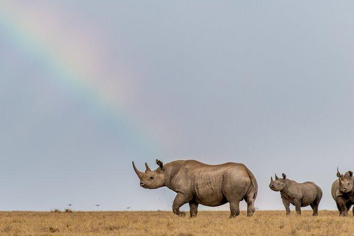 Private Day Tour to Olpajeta Conservancy From Nairobi