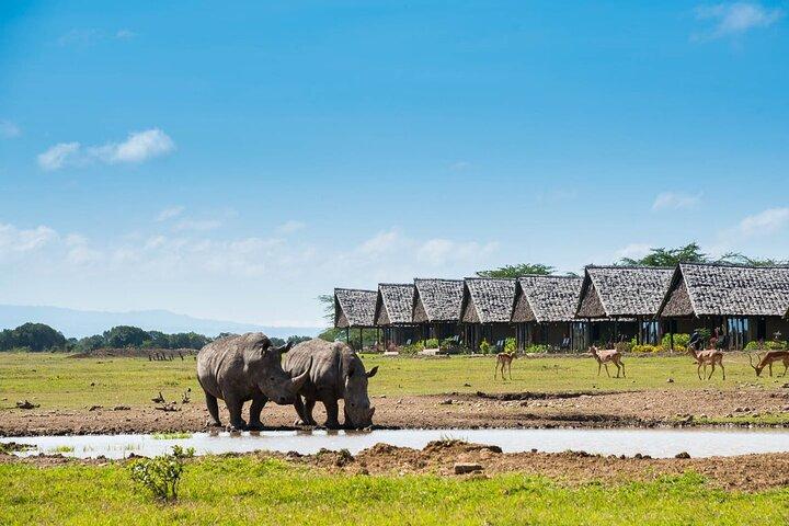 Private Day Tour to Olpajeta Conservancy From Nairobi