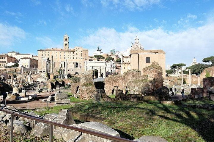 Colosseum, Roman Forum and Palatine Hill- Private Tour