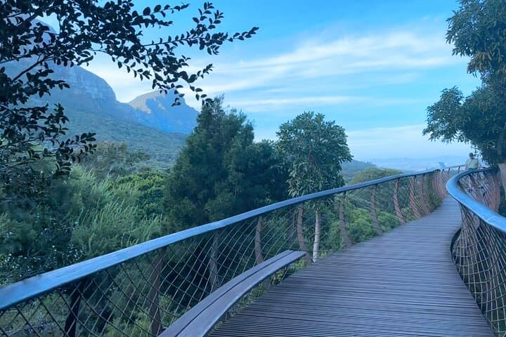 Kirstenbosch and Constantia Tour from Cape Town