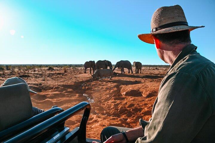 3-Day Big Five Madikwe Safari from Johannesburg