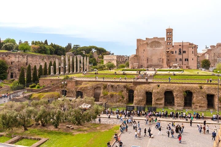 Rome: Colosseum Roman Forum & Palatine Hill Tour I Max 10 People