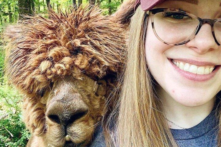 Alpaca and Llama Trek in Pleasant Valley