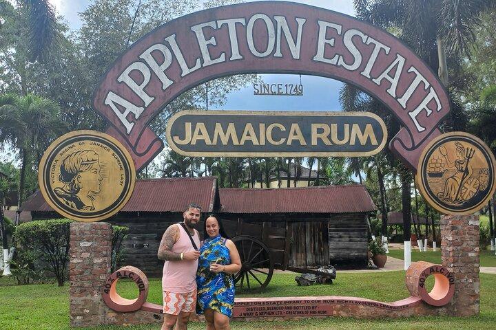 South Coast Tour to YS Falls, Black River Safari and Appleton Rum