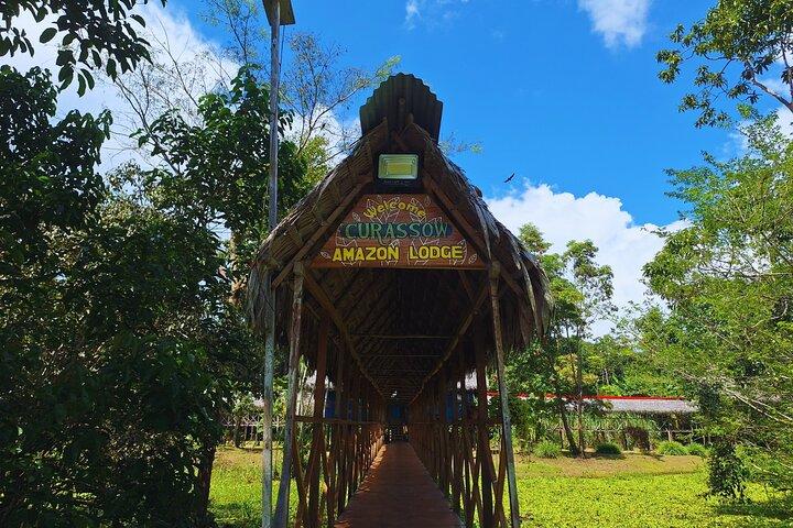 4-Day Amazon Jungle Tour in Iquitos at Curassow Amazon Lodge