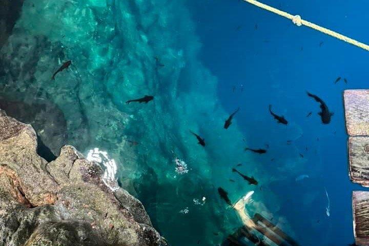 Cenotes, Pink Waters and Chichén Itzá in Tizimin Yucatán México